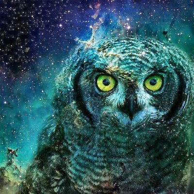 NoNonsenseKen's profile picture. Searching is hard when you don't know what you're looking for.