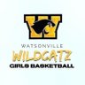 GbbWhs's profile picture. The Official Twitter Account for the WHS Girl’s Basketball Program