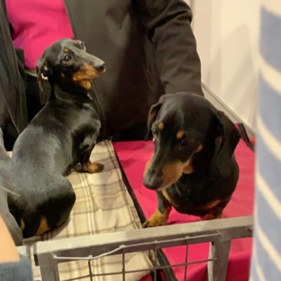 John_Tuns's profile picture. 