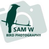 Amateur Bird Photographer. RSPB. BTO. Based in Kidderminster, Worcestershire.