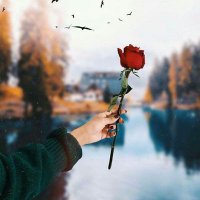 طـبيبهہ آلآحسـآسـ❤ (@vyvhfxxgogles6d) 's Twitter Profile