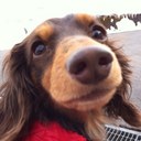 Asami Suzuki - @Asami__Suzuki - Twitter