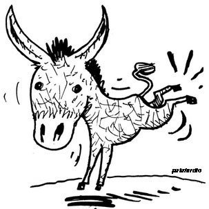 MulaMoleiro's profile picture. Sou a mula do moleiro. Delicada como o meu coice, doce como o limão e tranquila como o furacão.