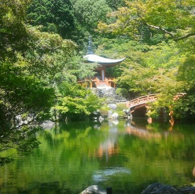 vRtzCfinJmhgG9Z's profile picture. まれにつぶやきます