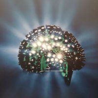 Psychology @ UON (@psychology_uon) 's Twitter Profile