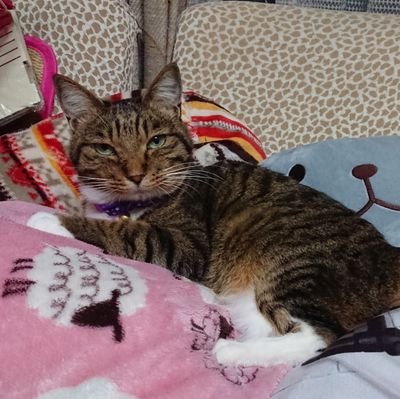 Ayumi88583919's profile picture. 仕事一筋で頑張るぞ～！
ラグマス再開しました(笑)