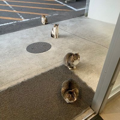 swEijIGiZVAyrF0's profile picture. よろしく😃✌️ね