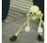 uzworm's avatar