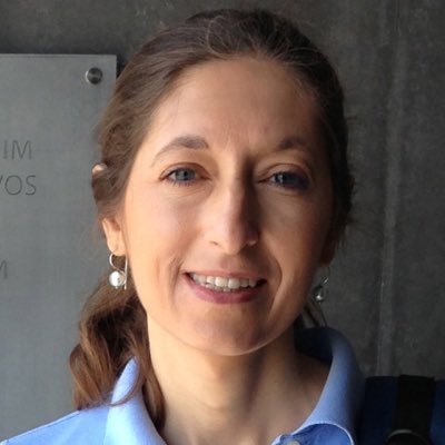 Guest Professor and PhD candidate in Law of Nova School of Law. Researcher at the UNCRC Policy Center Chair of Nova School of Law
