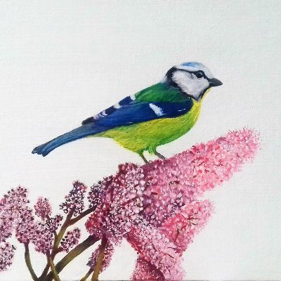 debbie_debbit4's profile picture. 