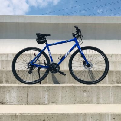 猫目 クロスバイクで宮ヶ瀬ダムまで行ってみたけど見れなかった 地味に遠かっただけに泣いた