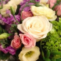 MeryleLee (@meryleleecan) 's Twitter Profile