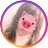 Chiiのアイコン