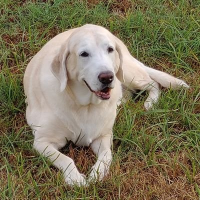 FLTitan67's profile picture. IWU grad class of 1993, currently teaching & coaching football in Florida