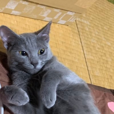 tottiさんのプロフィール画像