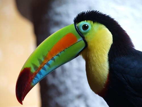 David Taylor Profile