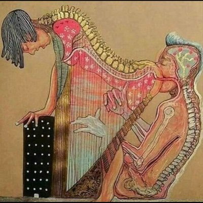 altoalfuego2's profile picture. 