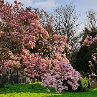 AuroraMrgt's profile picture. I am because you are.