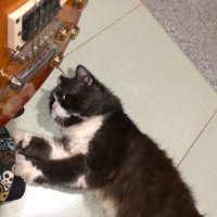 Gaskeunnn (@aryzigaz) 's Twitter Profile Photo