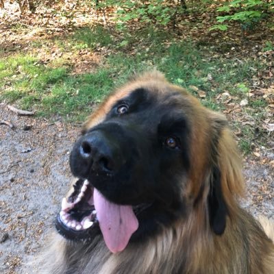 mgeljon's profile picture. Founder of GriDD, visual thinker passionate for realizing impact with great stories. Storyarchitect & Maker. TEDx coach and author ‘Cut the Bullsh*t Marketing’