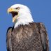 700yard (@ffi5a700yard111) Twitter profile photo 700yard (@ffi5a700yard111) Twitter profile photo