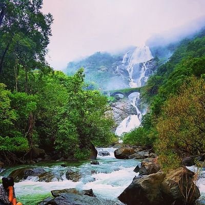 Orgniser treks to Dudhsagar Water Falls and other beautiful falls which are hidden in western ghat.
Dandeli Nature Camp with Water Activities like River Rafting