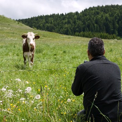 AubergeDB's profile picture. Le jeu de rôle littéraire de l'été 2020.