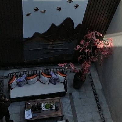 zhangguoqiang99's profile picture. 无观点，只是看看
