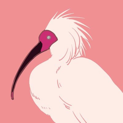 高乃トキさんのプロフィール画像