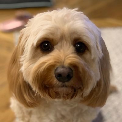 cyfcyl's profile picture. 