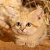 @Mu76rpwreAS4oug