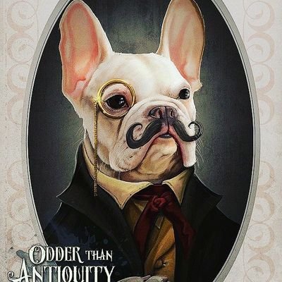 DidierR79826322's profile picture. 