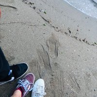 田中 (@ha_ru0303_aaa) 's Twitter Profile
