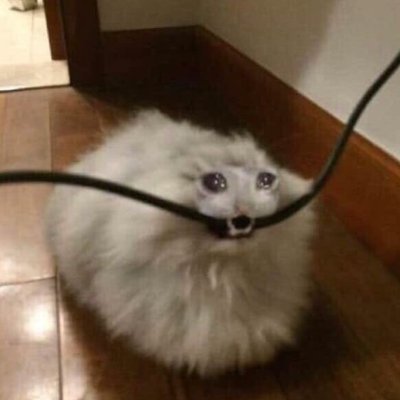 stup1d_bastard's profile picture. 