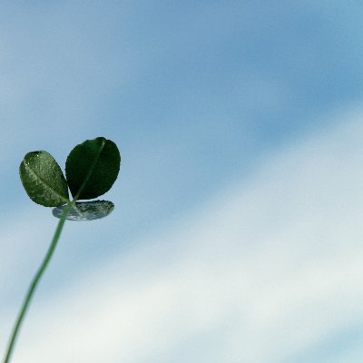 ❀レイナ❀RTはその方のホームへ...さんのプロフィール画像