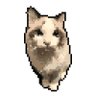 hiratti41's profile picture. 猫の名前はエコー