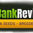 Here you will find information about marijuana seed breeders and seedbanks to help you buy marijuana seeds safely. We have over 700+ cannabis seed breeders and