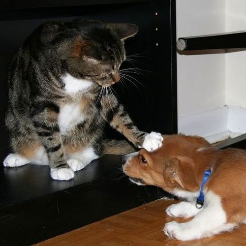 personwade's profile picture. 