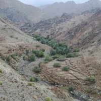 جمعه المعمري (@k9ya8oev8ofoy61) Twitter profile photo