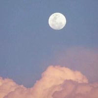 み (@7enwnf9mflydyf6) 's Twitter Profile