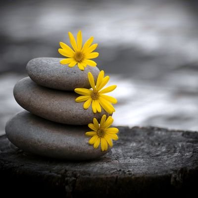 charlovely1's profile picture. 