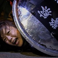 Rosario Fung (@kachunfung2) 's Twitter Profile