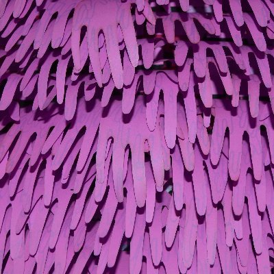 twelvetombsさんのプロフィール画像