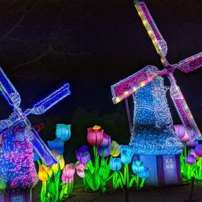 vetcursief's profile picture. Tweets op persoonlijke titel. Economie drijft op familiebedrijven, MKB en ZZP.
Lid FvD.
NL uit de Euro.
Privacy first.
Context is relevant.
🇳🇱♂️🚭 Christen ❤️