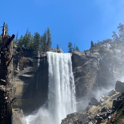 phillipmaster18's profile picture. 