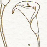 THE FLORAL BOUTIQUE LTD (@sandieflorist) 's Twitter Profile