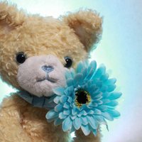 綾 (@c_sky_0526) 's Twitter Profile Photo 綾 (@c_sky_0526) 's Twitter Profile Photo