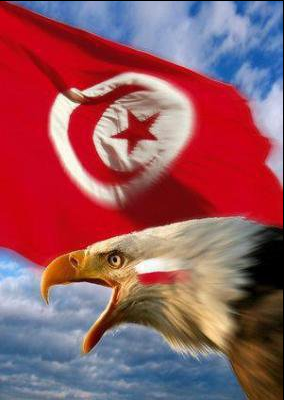 nchikhi's profile picture. 