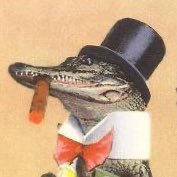 Astute Alligator (@astutealligator) 's Twitter Profile Photo Astute Alligator (@astutealligator) 's Twitter Profile Photo