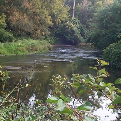 Official Twitter page for the community of Sheffield coming together to give Rights to the Housatonic River.